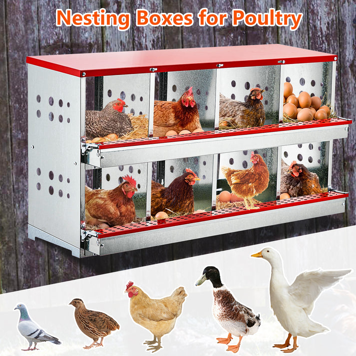 8-Compartment Chicken Nesting Box